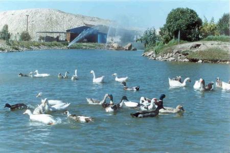 lac sidi chenane  khouribga