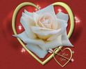 FOR ALL VISITE MAN